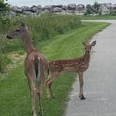 Review photo of Maumee Bay State Park Campground by Jana H., August 7, 2021