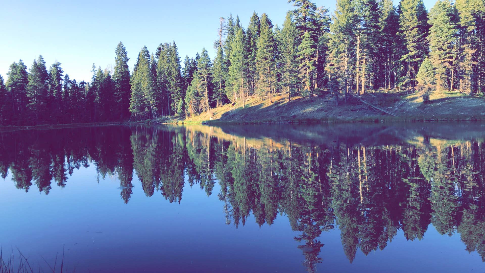 Camper submitted image from Trout Lakes - 1