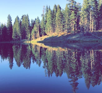 Camper-submitted photo from Trout Lakes