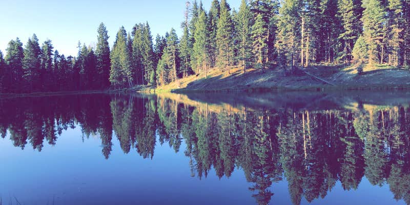 Camper submitted image from Trout Lakes
