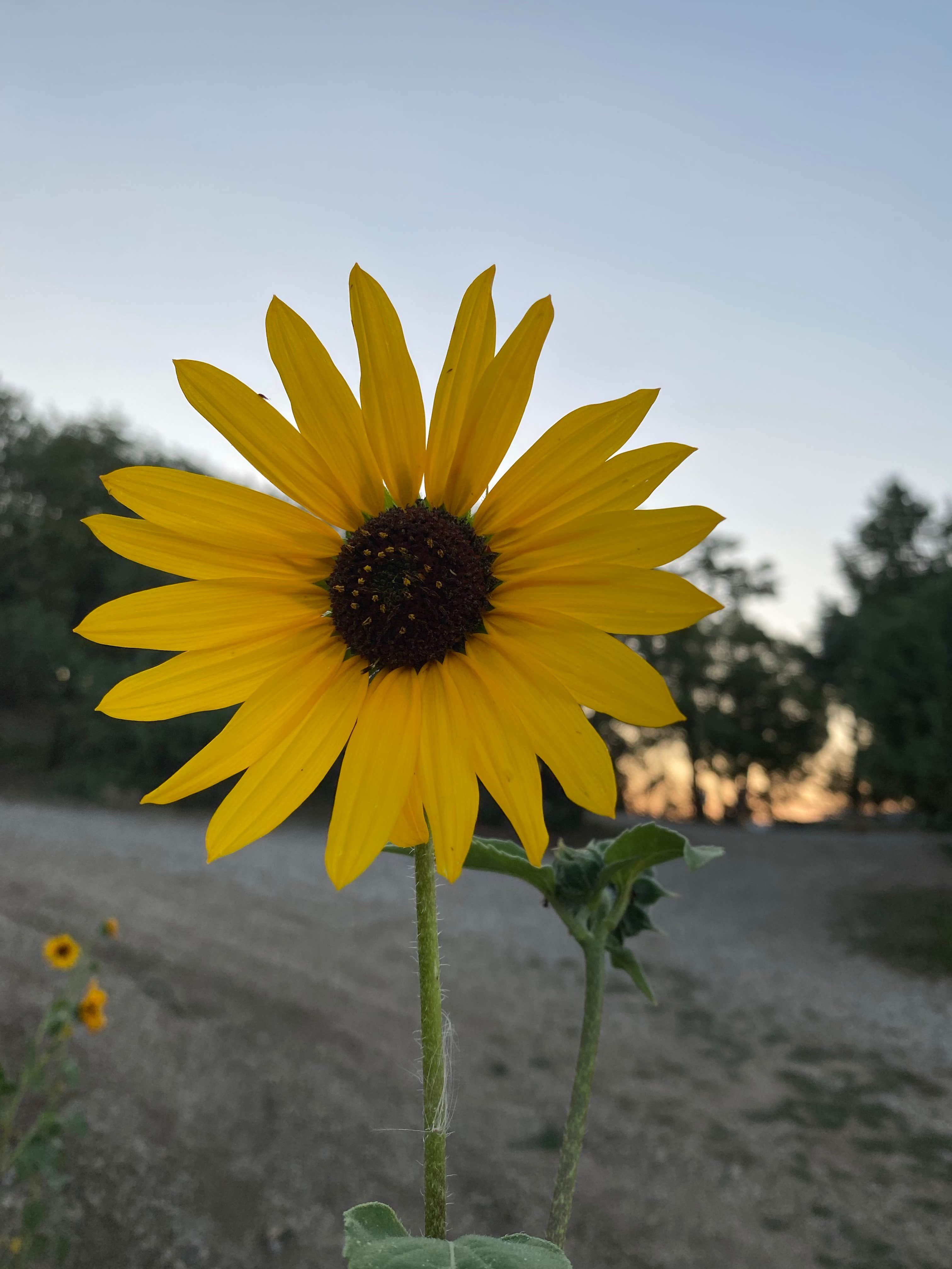 Camper-submitted photo at Island View — Heron Lake State Park near Los Ojos, NM