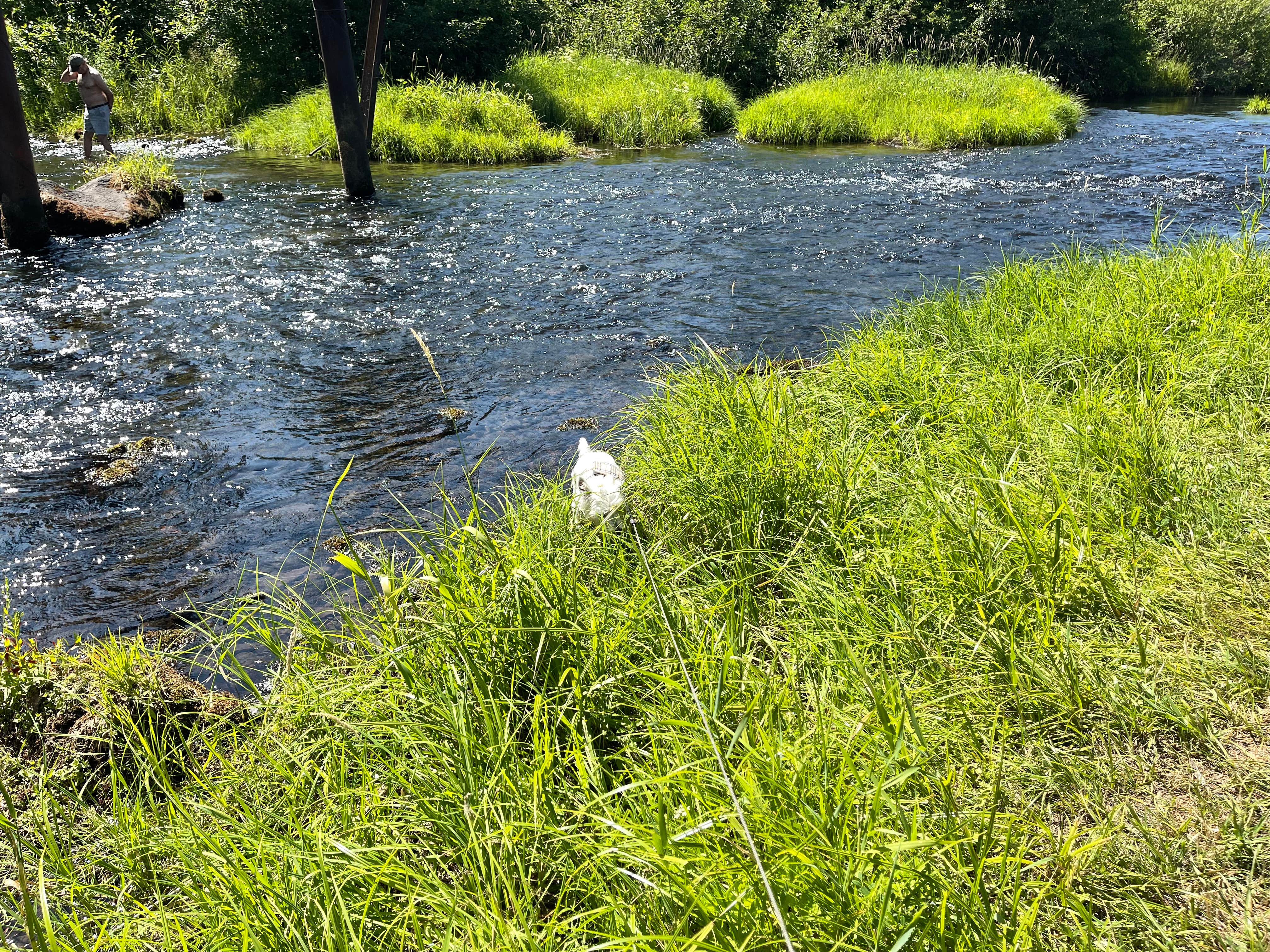 Camper submitted image from Hollenbeck Park - 4