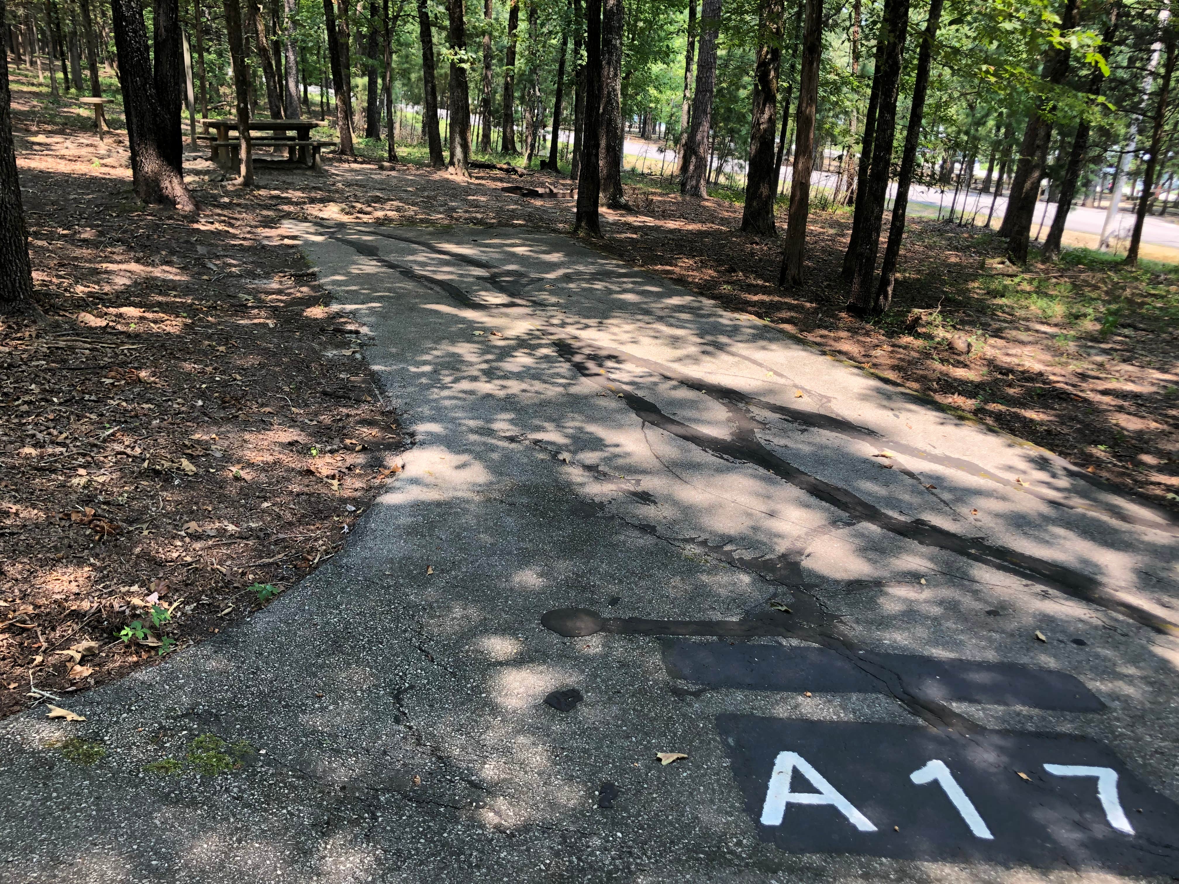 Camper submitted image from COE Greers Ferry Lake Shiloh Campground - 5