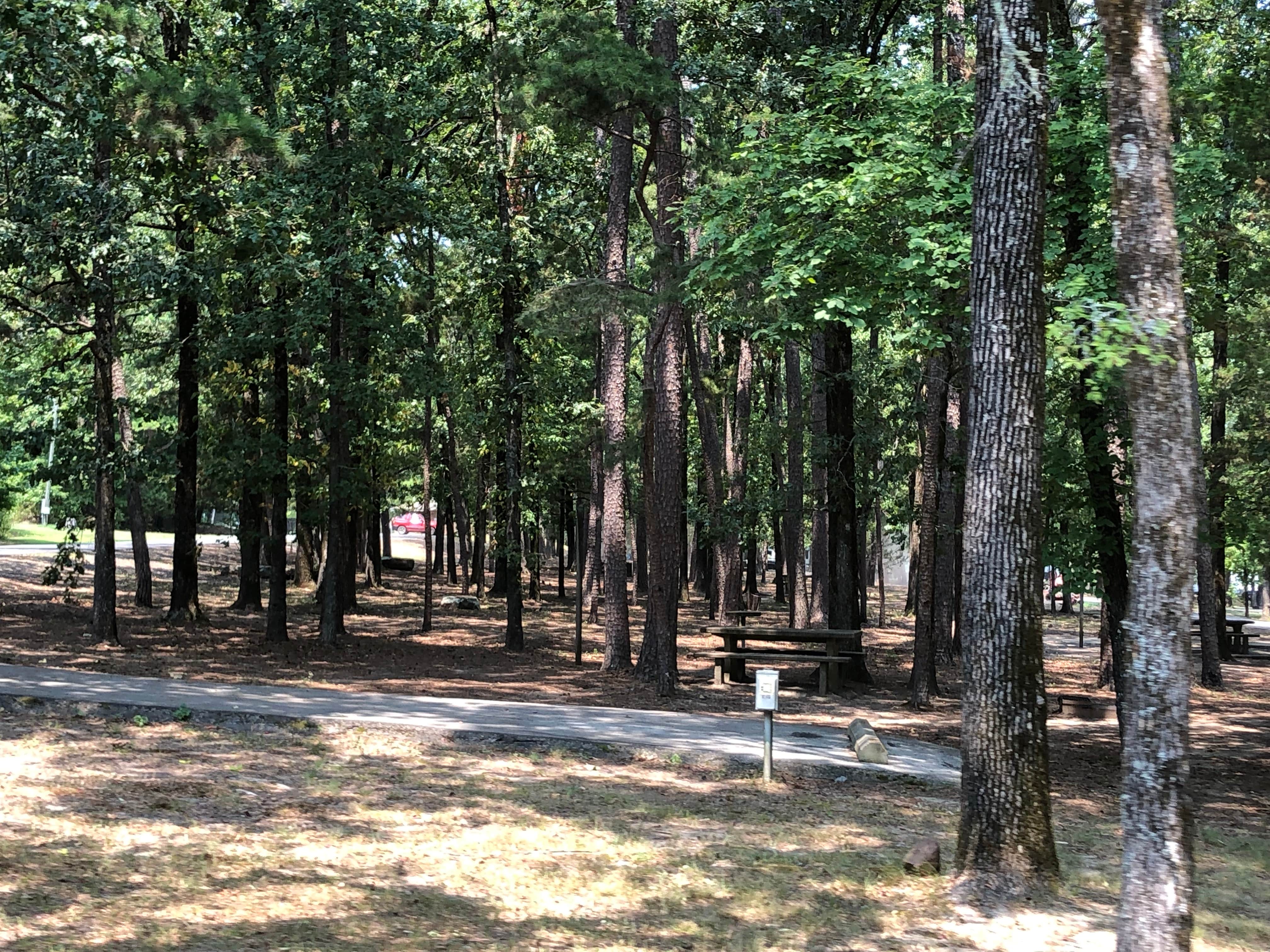 Camper submitted image from COE Greers Ferry Lake Shiloh Campground - 2