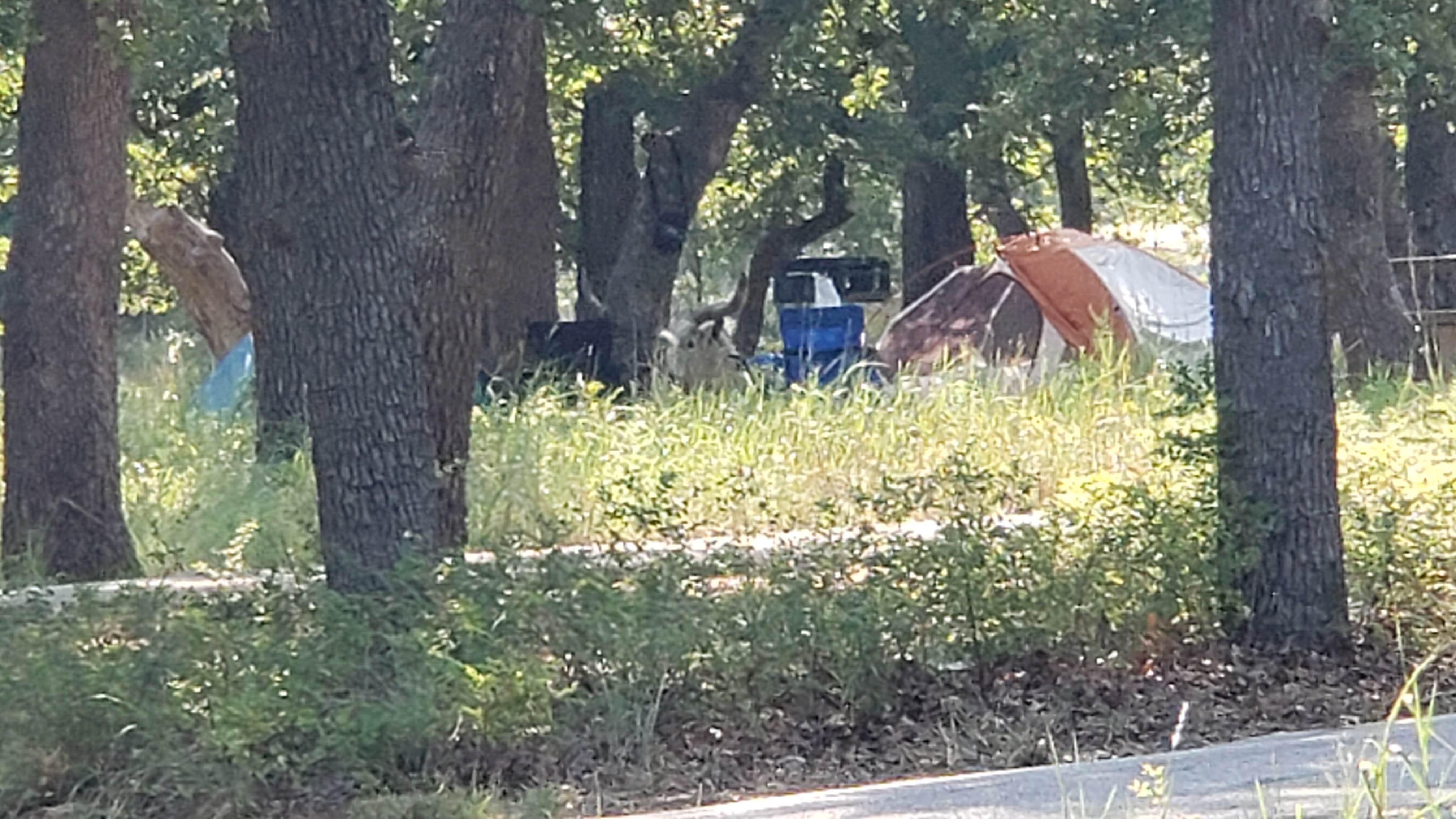 Jaime K.'s photo at Wichita Mountains Wildlife Refuge Campground near Waurika Lake