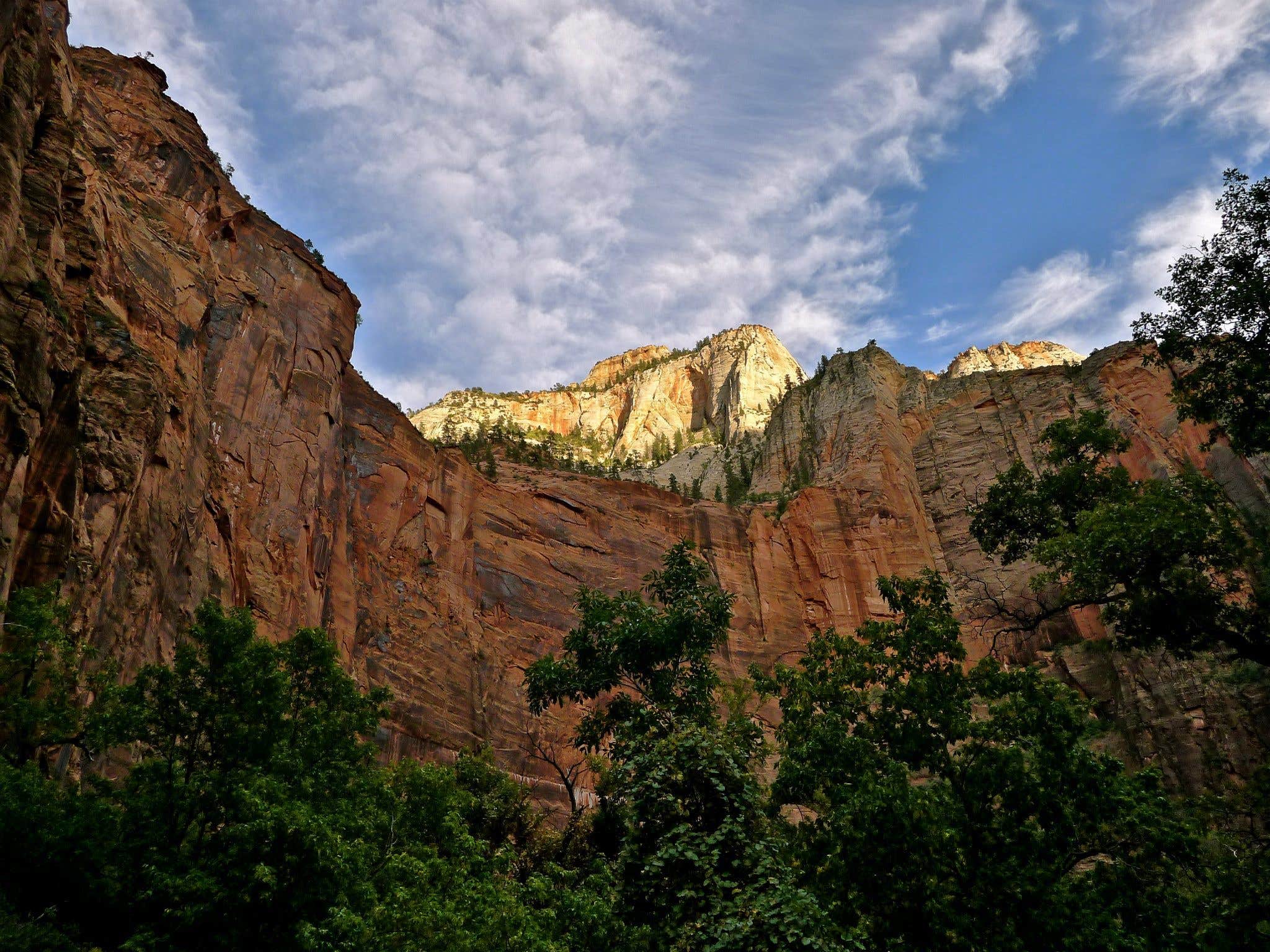 Camper submitted image from Watchman Campground — Zion National Park - 2