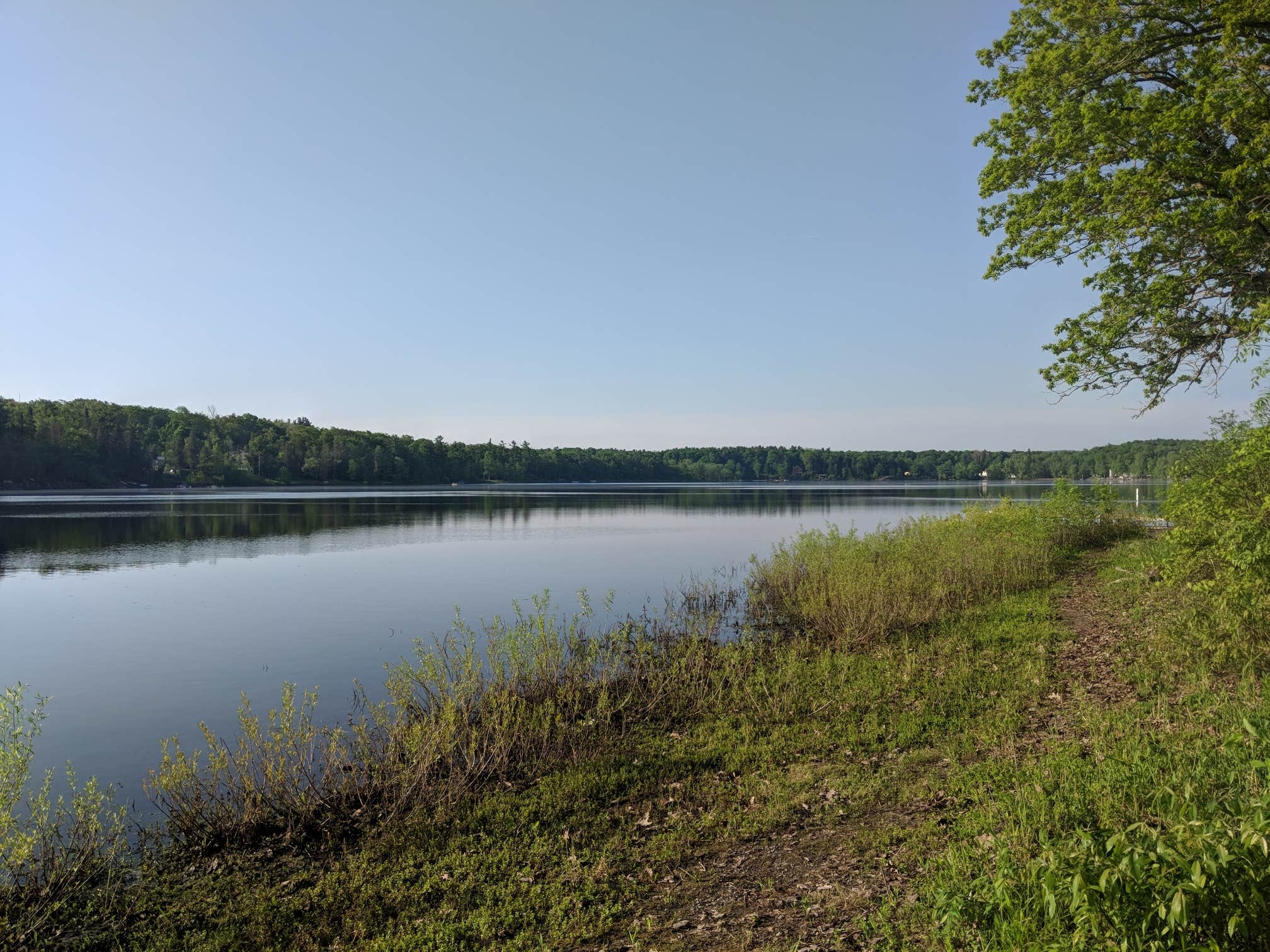 Thompson's Lake Campground at Thatcher Park The Dyrt