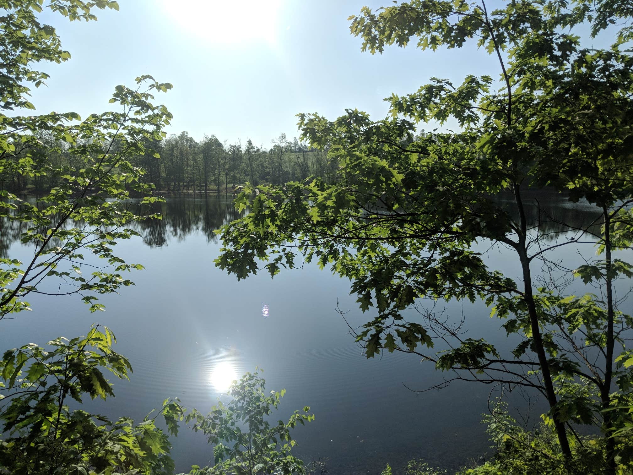 Camper submitted image from Thompson's Lake Campground — Thacher State Park - 3