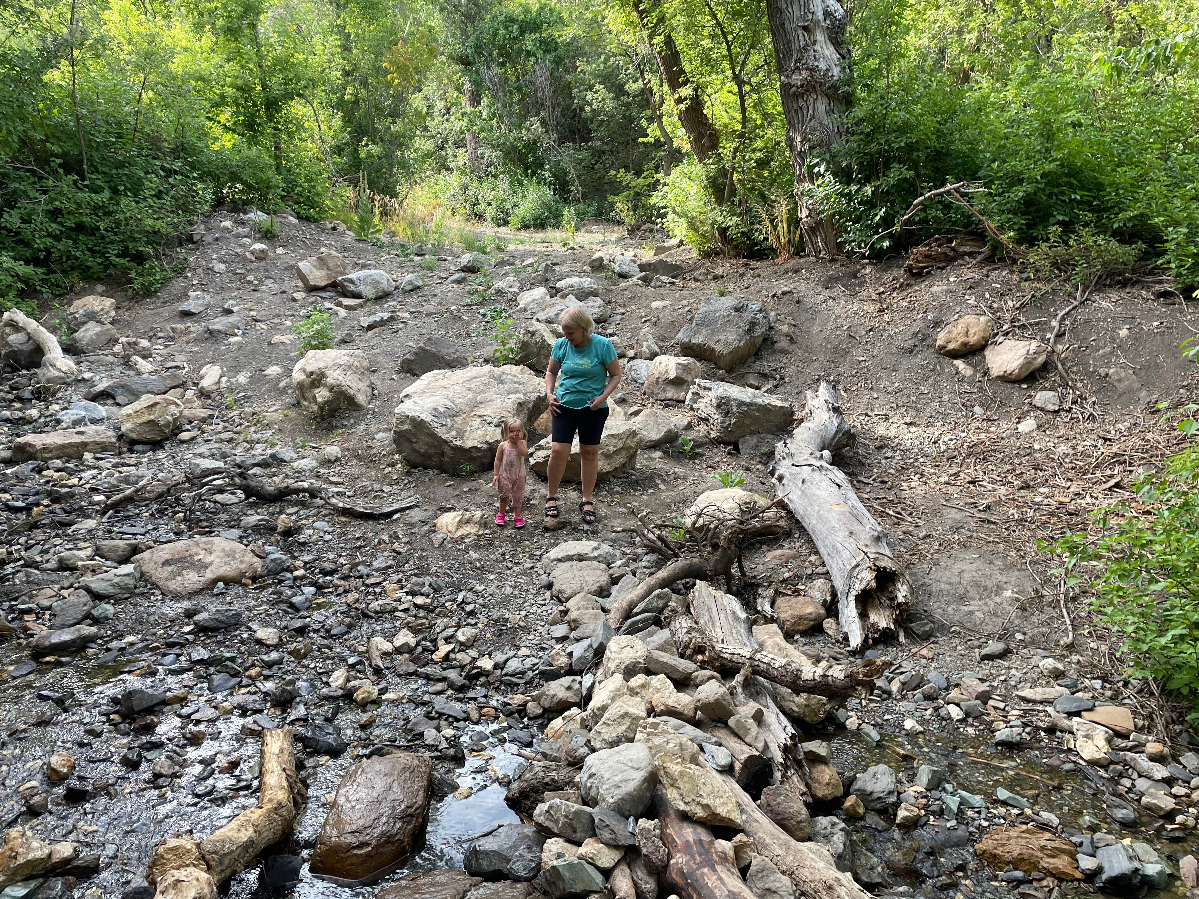 North Fork Park (er County Park) The Dyrt