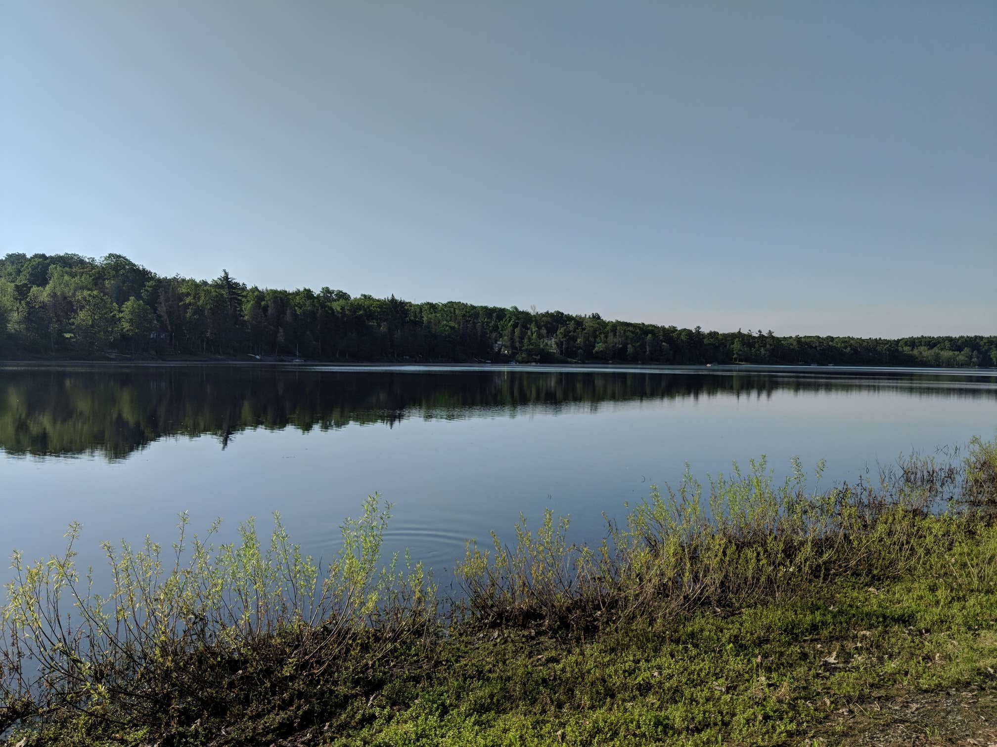 Camper-submitted photo at Thompson's Lake Campground — Thacher State Park near Guilderland, NY