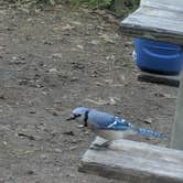 Review photo of Thompson's Lake Campground — Thacher State Park by Adelle C., June 18, 2018