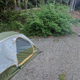 Review photo of Blackwoods Campground — Acadia National Park by Adelle C., June 18, 2018