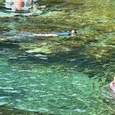 Review photo of Salt Springs Recreation Area by Lauren W., August 7, 2021