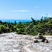 Review photo of Blackwoods Campground — Acadia National Park by Adelle C., June 18, 2018