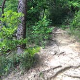 Review photo of West Rim - Cloudland Canyon State Park by Lauren W., August 7, 2021