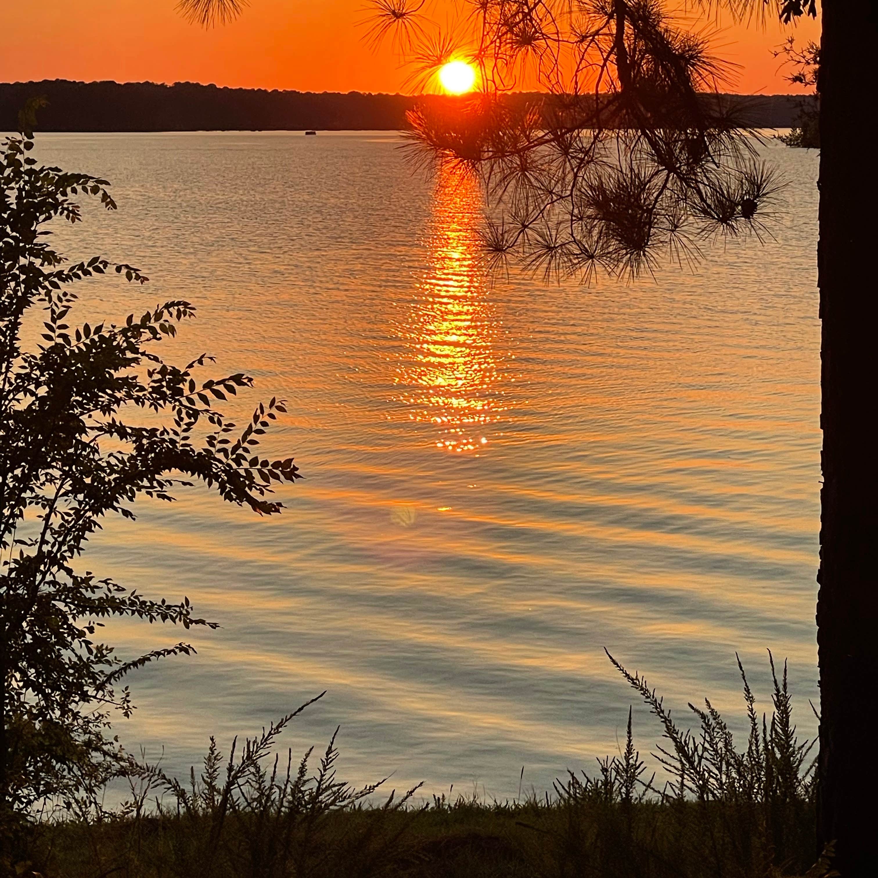 Winfield J Strom Thurmond Lake Camping The Dyrt