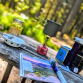 Review photo of Blackwoods Campground — Acadia National Park by Adelle C., June 18, 2018