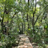 Review photo of Paynes Prairie Preserve State Park Campground by Lauren W., August 7, 2021