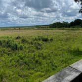 Review photo of Paynes Prairie Preserve State Park Campground by Lauren W., August 7, 2021