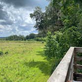 Review photo of Paynes Prairie Preserve State Park Campground by Lauren W., August 7, 2021