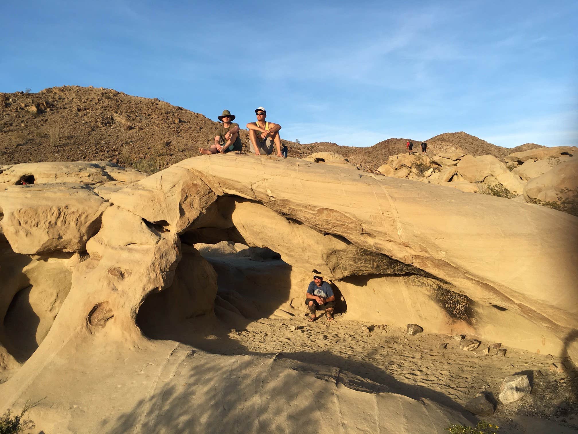 Camper submitted image from Ocotillo Wells State Vehicular Recreation Area - 2