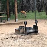 Review photo of Pedernales Falls State Park Campground by Eric n Erika B., August 7, 2021