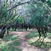 Review photo of Pedernales Falls State Park Campground by Eric n Erika B., August 7, 2021