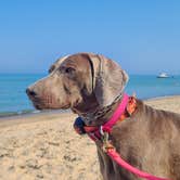 Review photo of Warren Dunes State Park Campground by John K., August 7, 2021