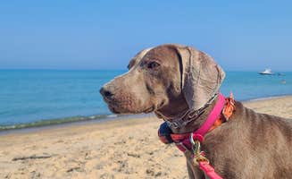 John K.'s photo of camping with pets at Warren Dunes State Park Campground near La Porte, IN