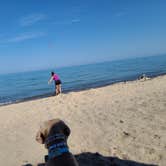 Review photo of Warren Dunes State Park Campground by John K., August 7, 2021