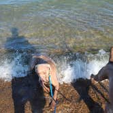 Review photo of Warren Dunes State Park Campground by John K., August 7, 2021