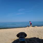 Review photo of Warren Dunes State Park Campground by John K., August 7, 2021