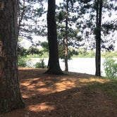 Review photo of Hungry Man Forest Campground by Layne W., August 7, 2021