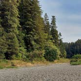 Review photo of Jedidiah Smith Campground — Redwood National Park by Michelle H., August 7, 2021