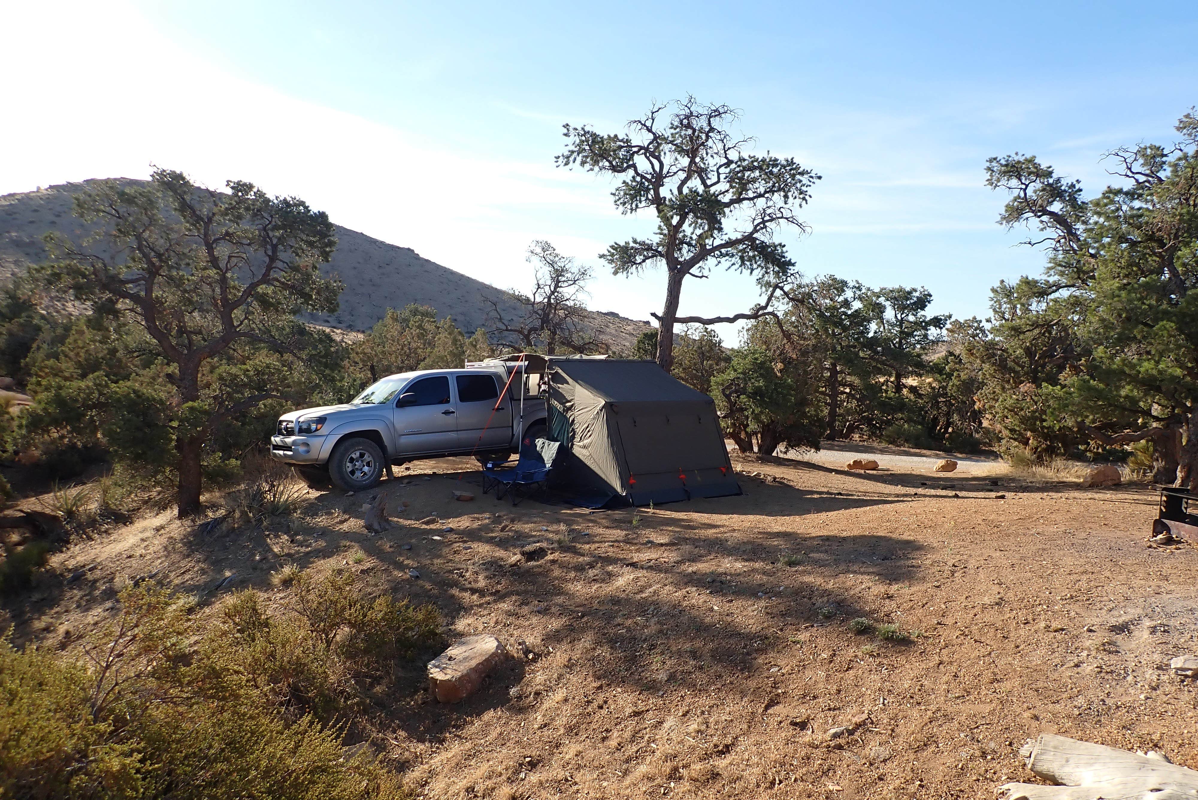 Torrance's photo at Mid Hills Campground — Mojave National Preserve near Baker, CA