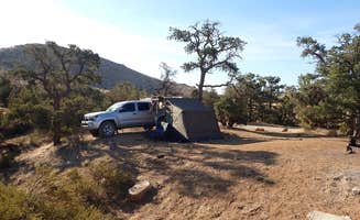 Torrance's photo at Mid Hills Campground — Mojave National Preserve near Baker, CA