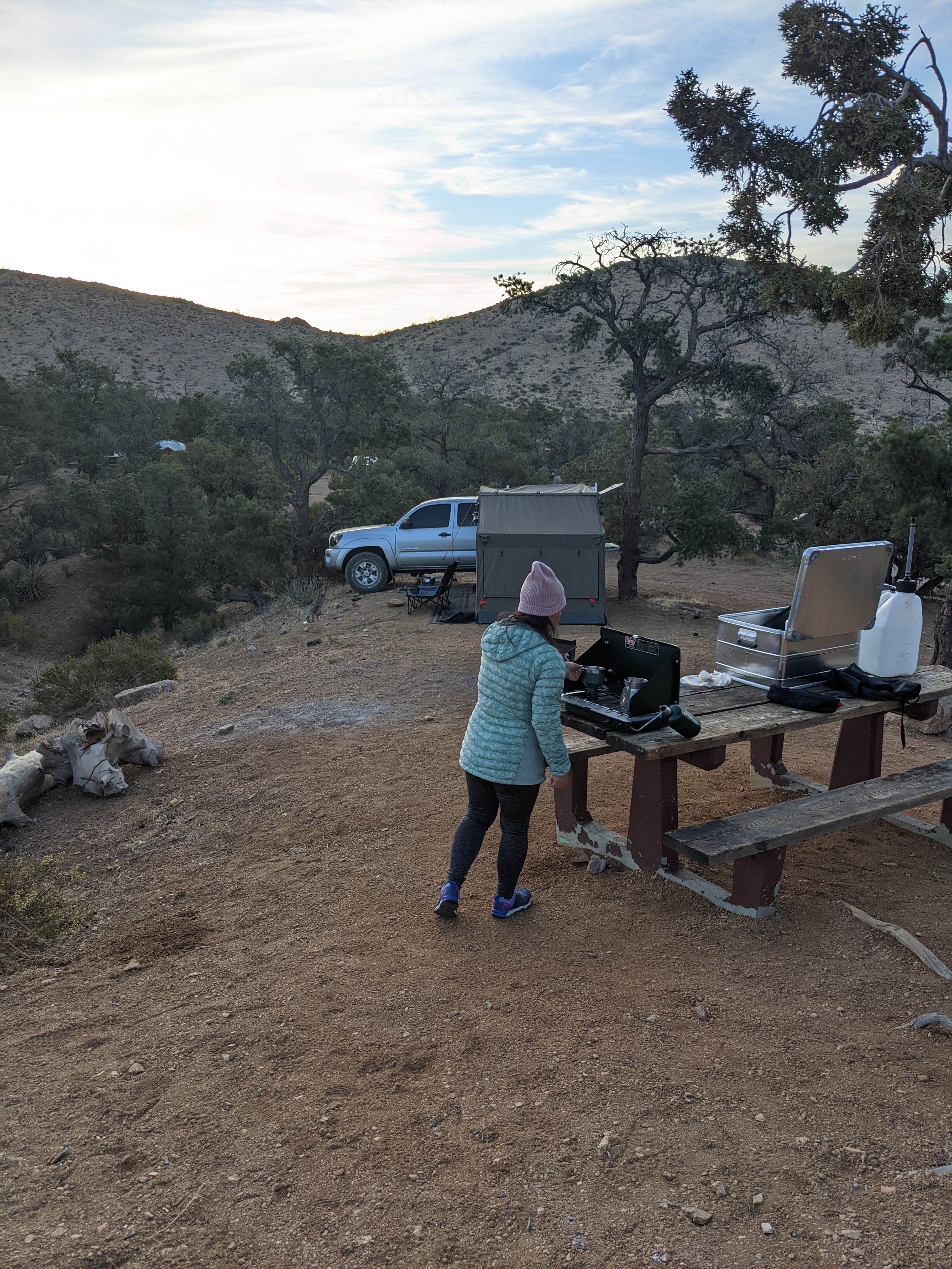 Torrance's photo of rv camping at Mid Hills Campground — Mojave National Preserve near Baker, CA