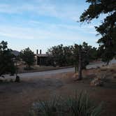 Review photo of Mid Hills Campground — Mojave National Preserve by Torrance , August 7, 2021