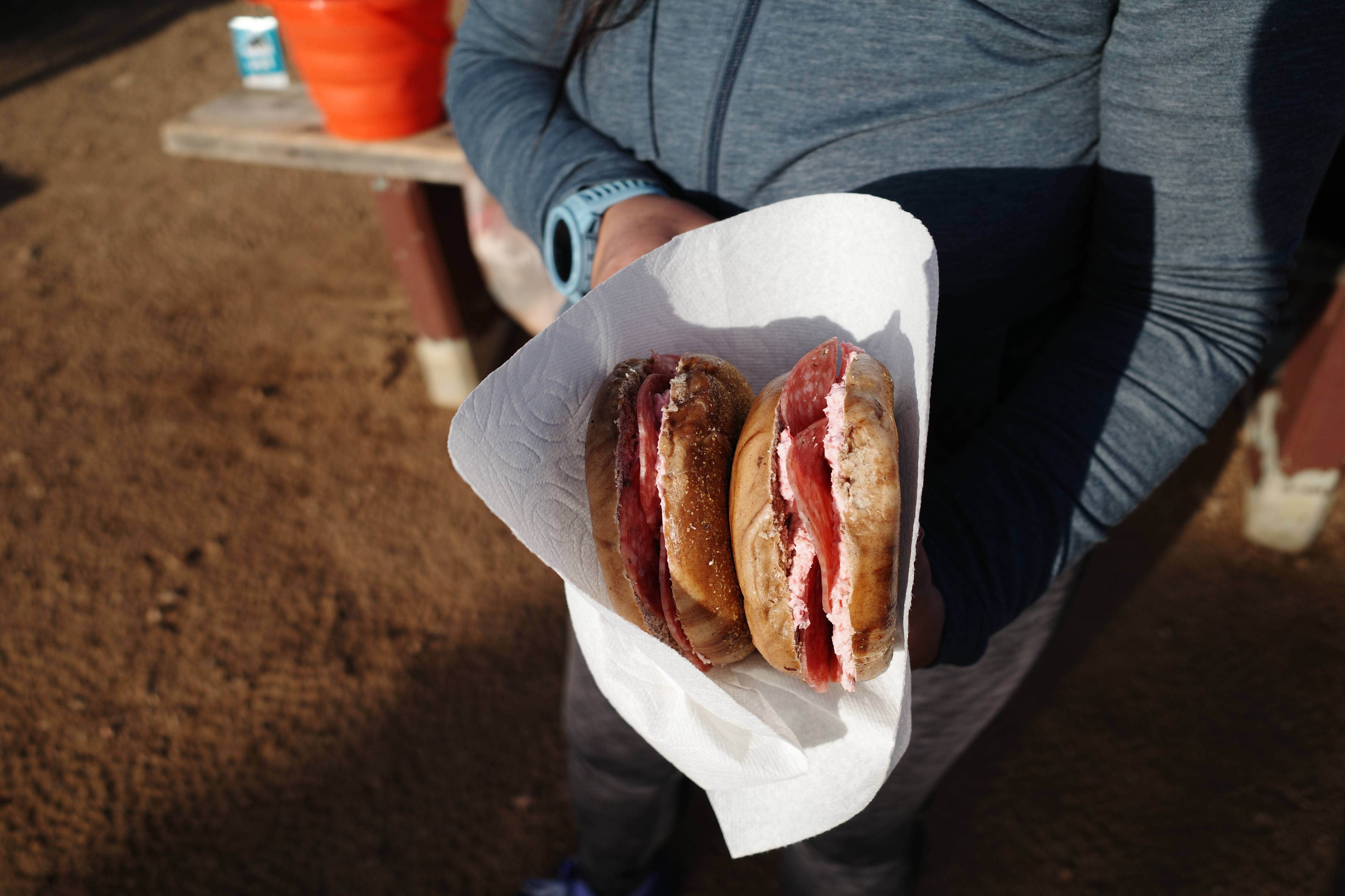Torrance's photo of camping with pets at Mid Hills Campground — Mojave National Preserve near Mojave National Preserve