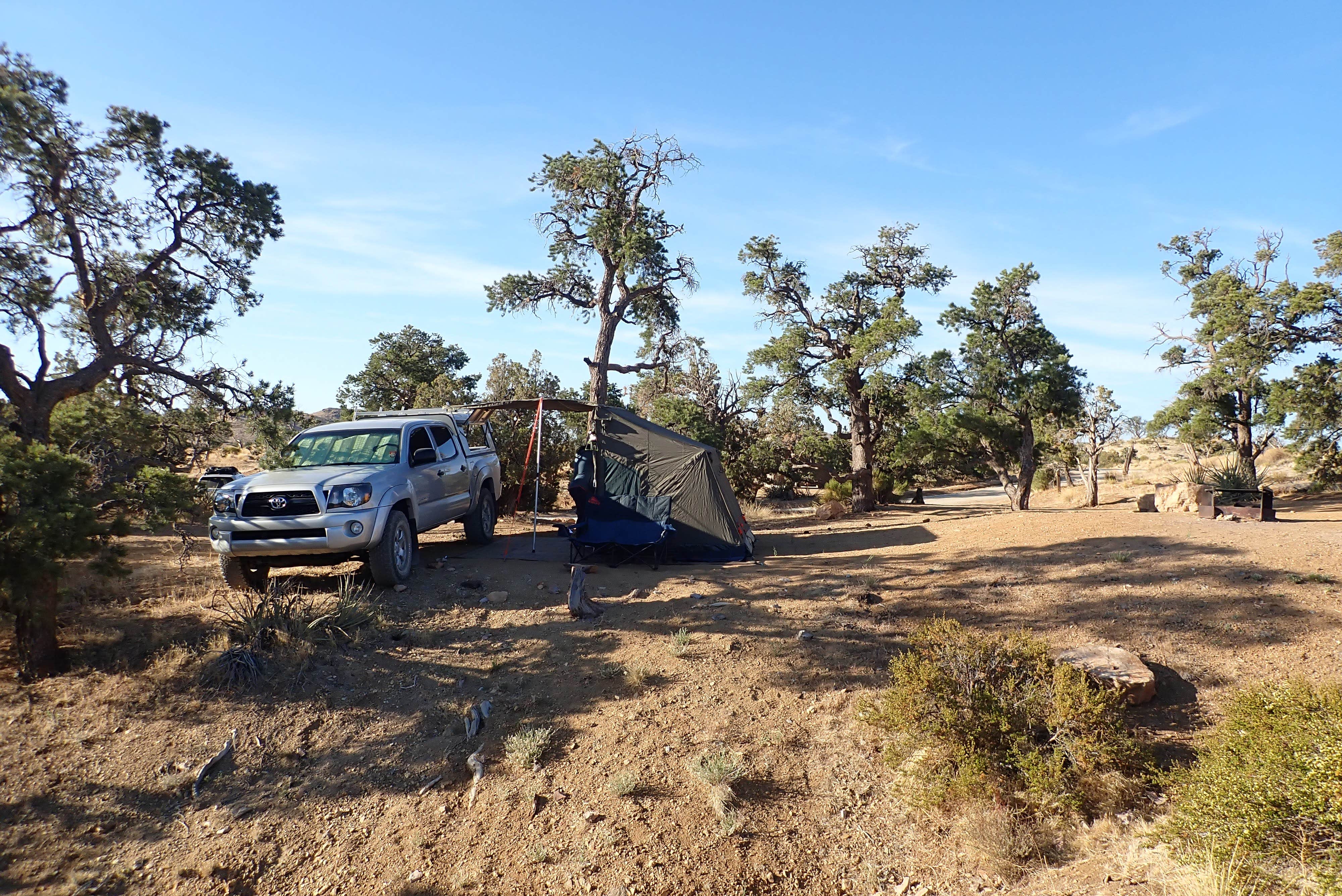 Torrance's photo at Mid Hills Campground — Mojave National Preserve near Nipton, CA