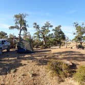 Review photo of Mid Hills Campground — Mojave National Preserve by Torrance , August 7, 2021