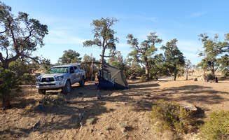 Torrance's photo at Mid Hills Campground — Mojave National Preserve near Baker, CA