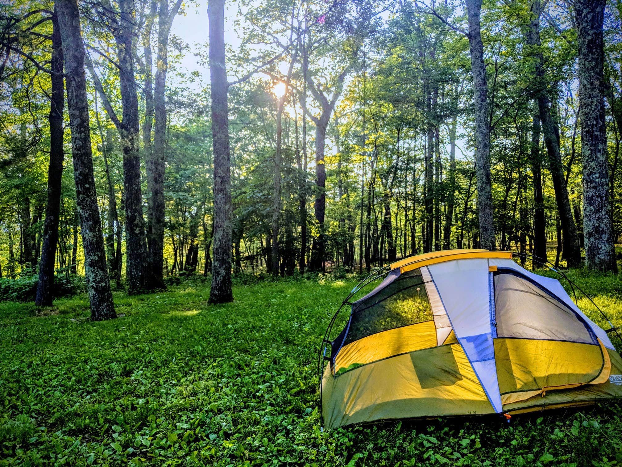 Adelle C.'s photo at Lewis Mountain Campground — Shenandoah National Park near Norwood, VA