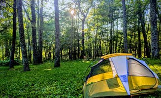 Adelle C.'s photo at Lewis Mountain Campground — Shenandoah National Park near Norwood, VA