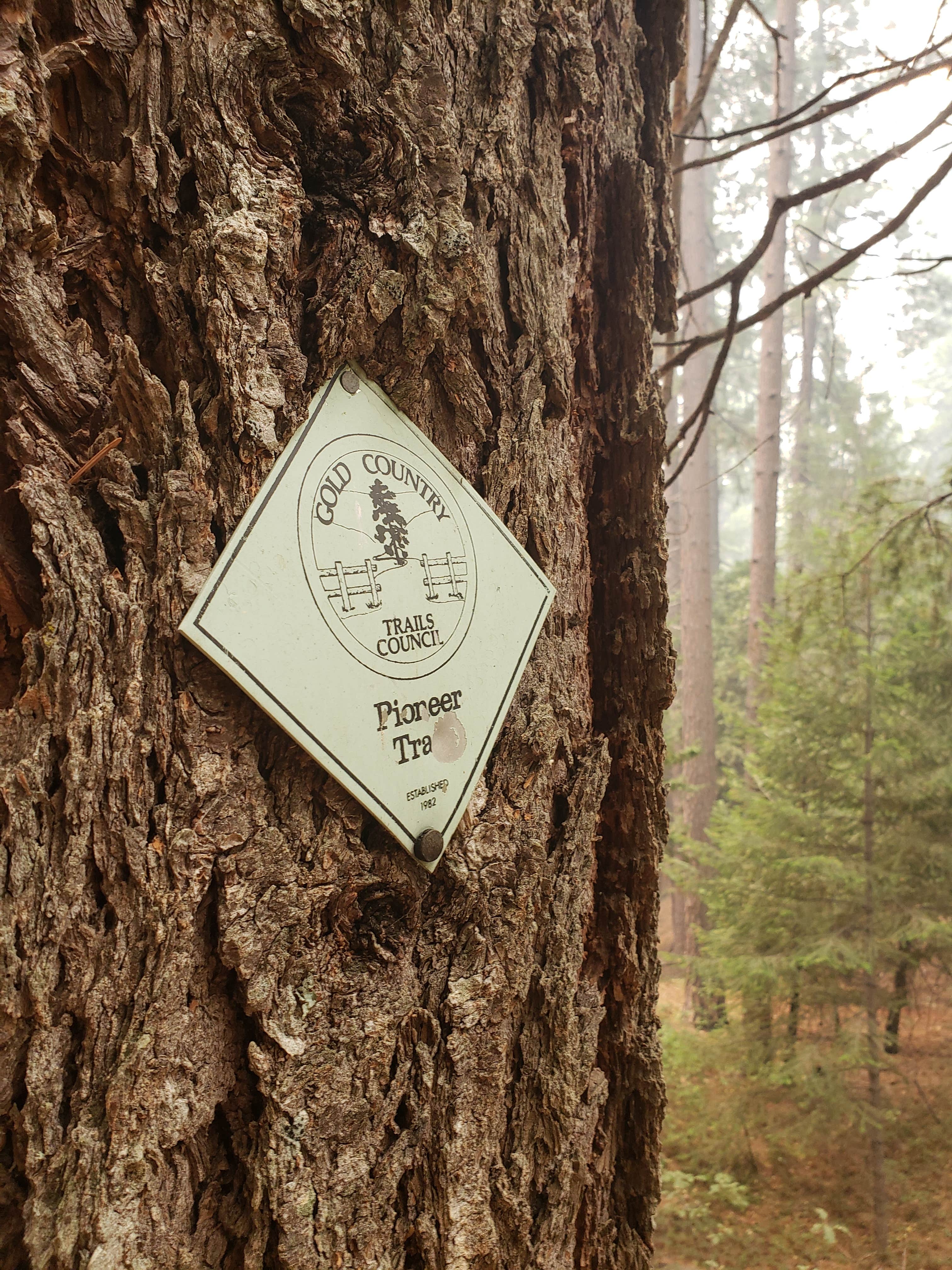 Camping near The House of 13 Rainbows: White Cloud, Washington, California