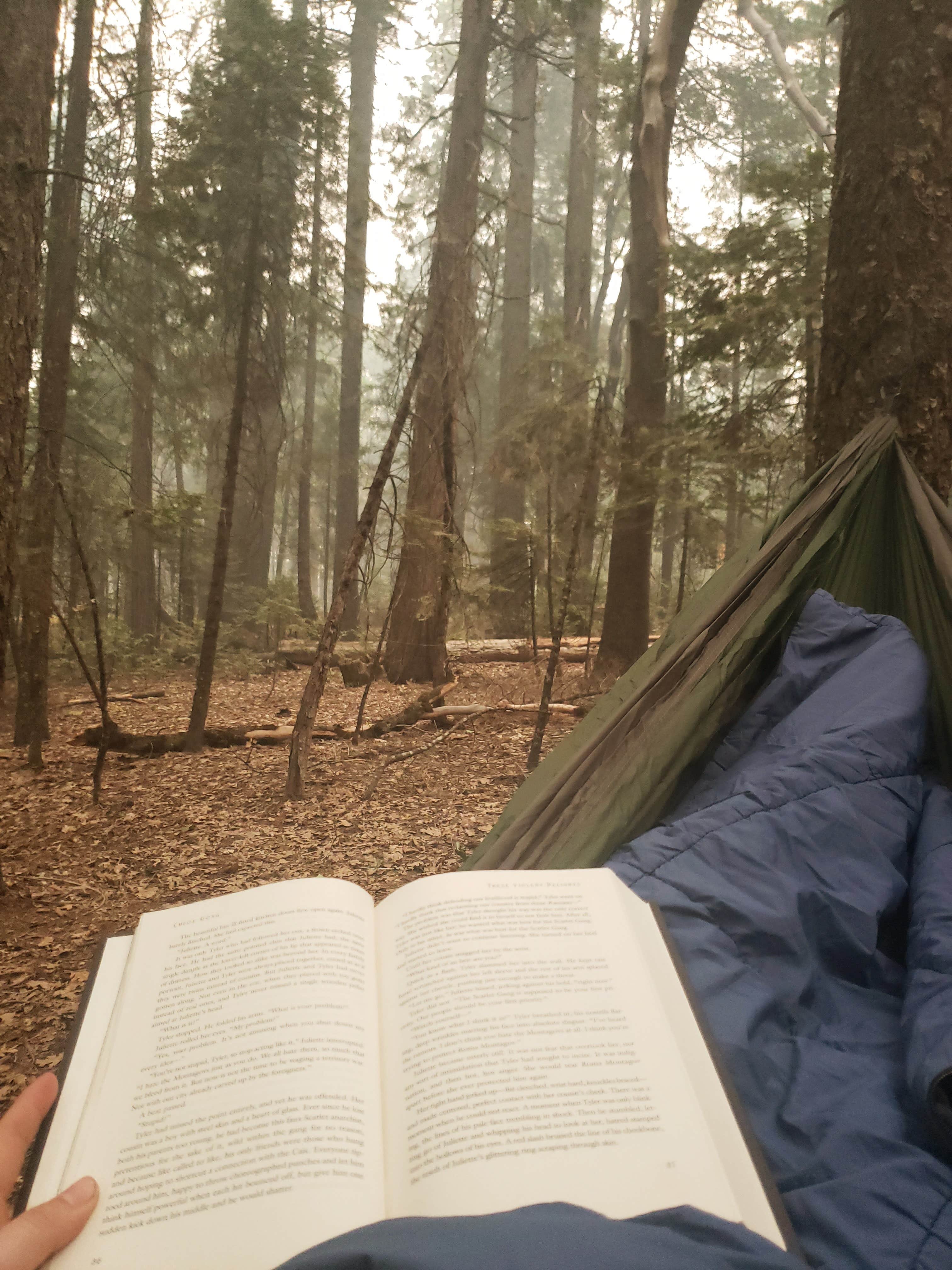 Camper-submitted photo at White Cloud near Gold Run, CA