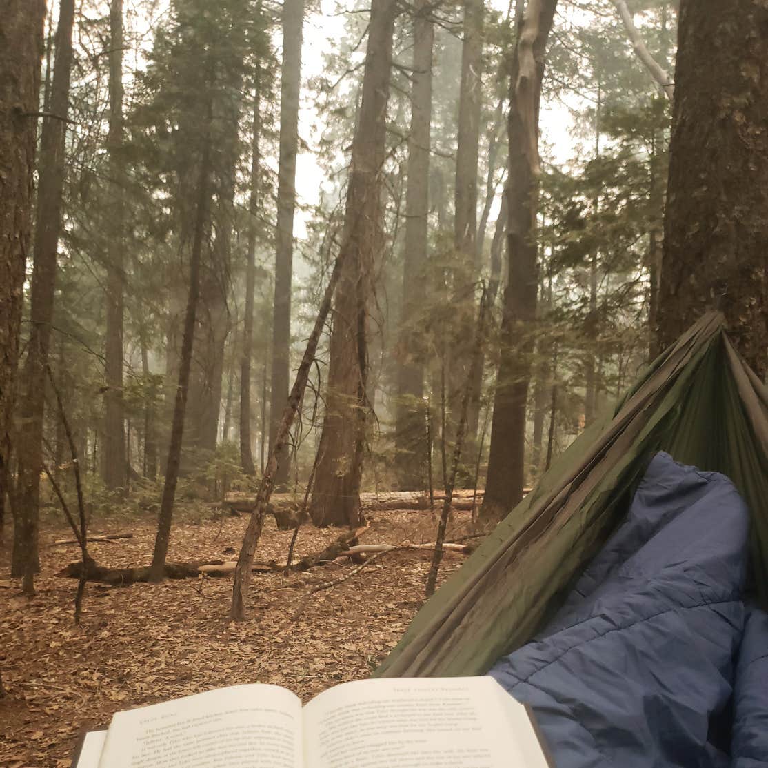 White Cloud Camping The Dyrt