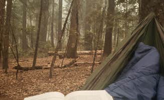 Jordan L.'s photo at White Cloud near Alta, CA