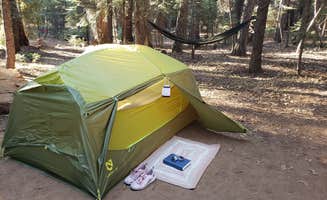 Jordan L.'s photo at White Cloud near Gold Run, CA