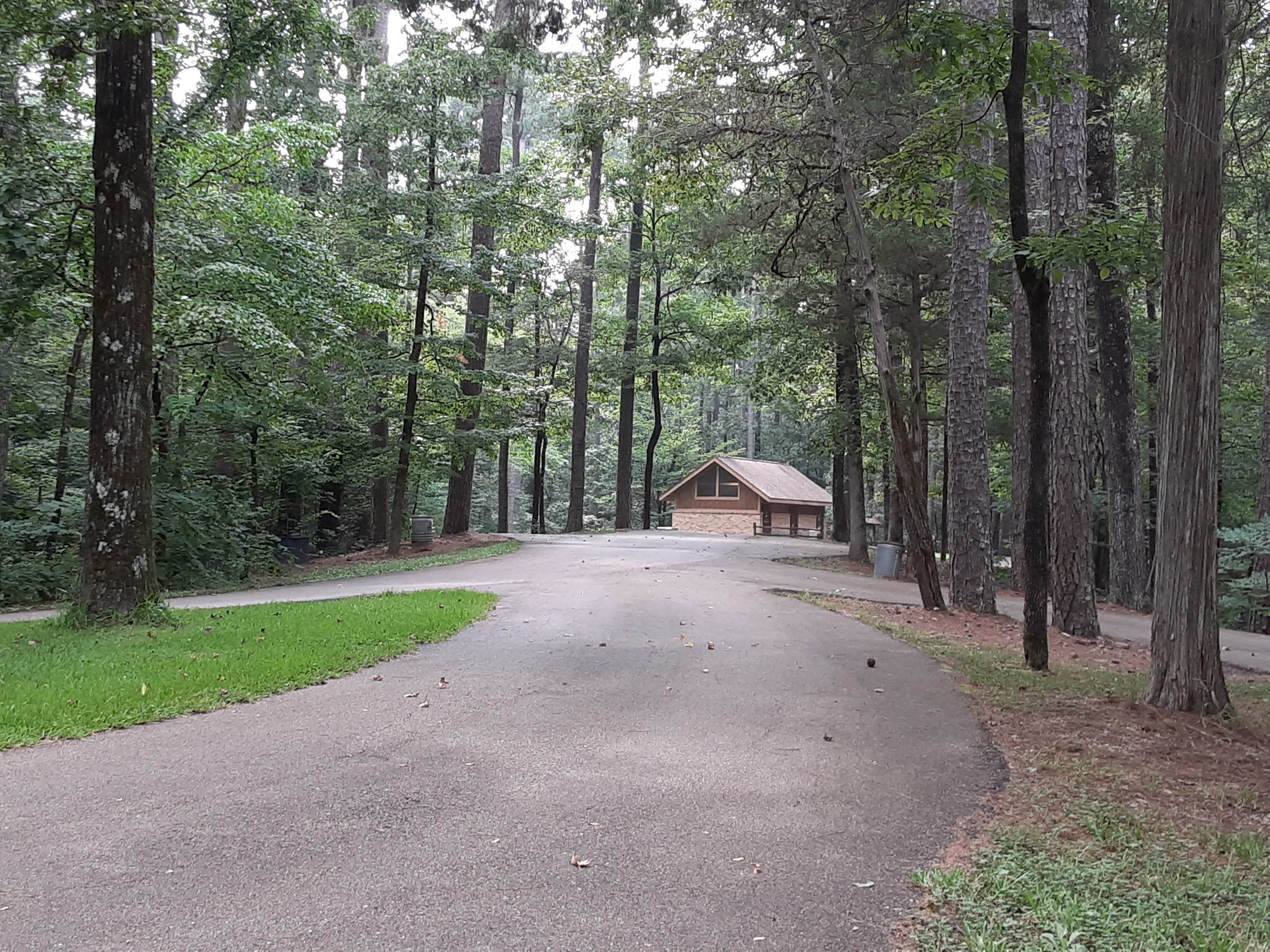 Camper submitted image from Jeff Busby Campground, Milepost 193.1 — Natchez Trace Parkway - 4